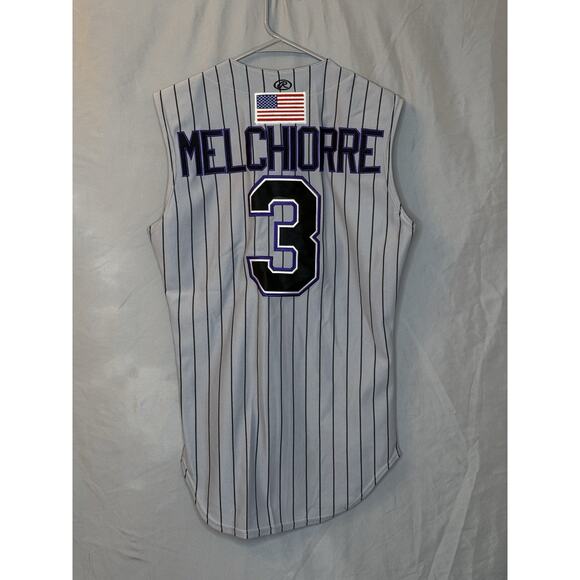 Durham DiaMondbacks Melchoirre 3 Pinstripe Vest Sz S Gray Don Teamwork Athletic - Picture 4 of 4